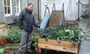 Eric visar hur en urban odling kan lyfta en bakgård i betong. Foto: AnnVixen