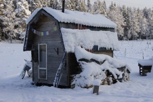 Hus på hjul, boyta 7 kvadrat, byggkostnad 4000 kronor. Foto: Agata Mazgaj