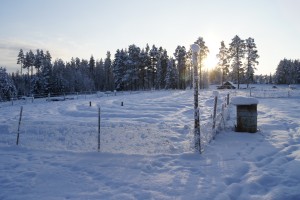 Under snötäcket väntar Flurlundargårds odlingar på att ta fart. Foto: Agata Mazgaj