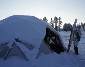 En snödusch från The Dome - växthuset på Flurlundar gård! Foto: Agata Mazgaj