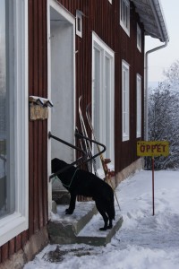 Läs mer om lördagsrundan längre ner i artikeln! Foto: Agata Mazgaj