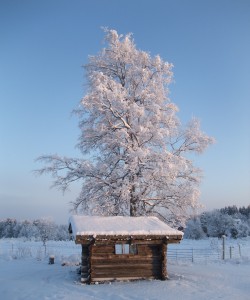 Högst upp på Skattungebyns sluttningar! Foto: AnnVixen