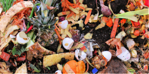 Köksavfall till komposten - äggskal (sköljes och krossas gärna), frukt- och grönsaksskal och andra restprodukter. Foto: Backyard-Eden