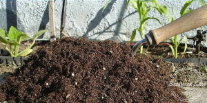 Med jämna mellanrum lägger du på ett lager med jord på din lasagnekompost. Foto: Backyard-Eden.com