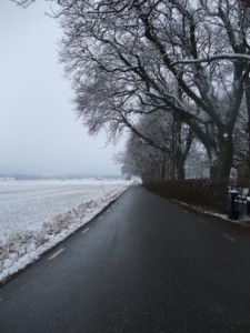 De Västmanländska slätterna. Foto: AnnVixen