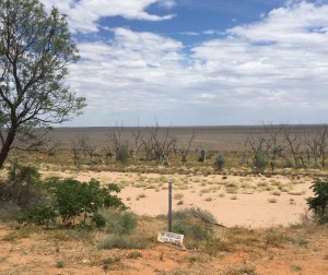 Lake Menindee år 2016, sjön låg vid det gråbruna området i bild. Foto: Sandra Kanck