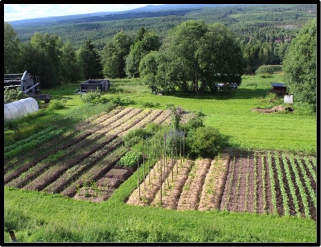 Självhushållande odling möjlig i nordlig växtzon Nr029